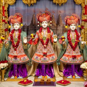 Murti Vagha Seva